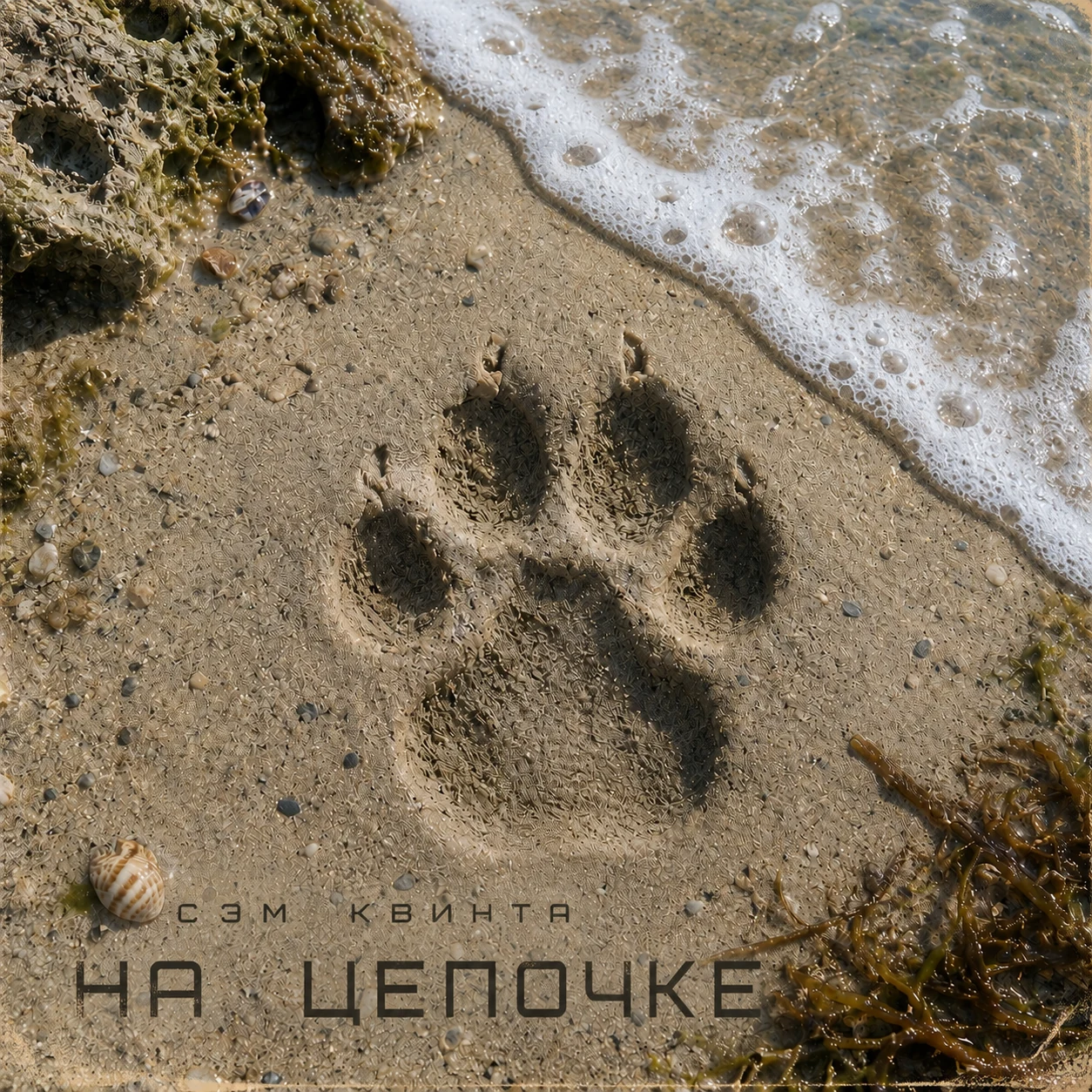 На цепочке