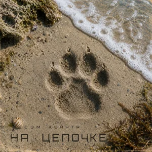 На цепочке